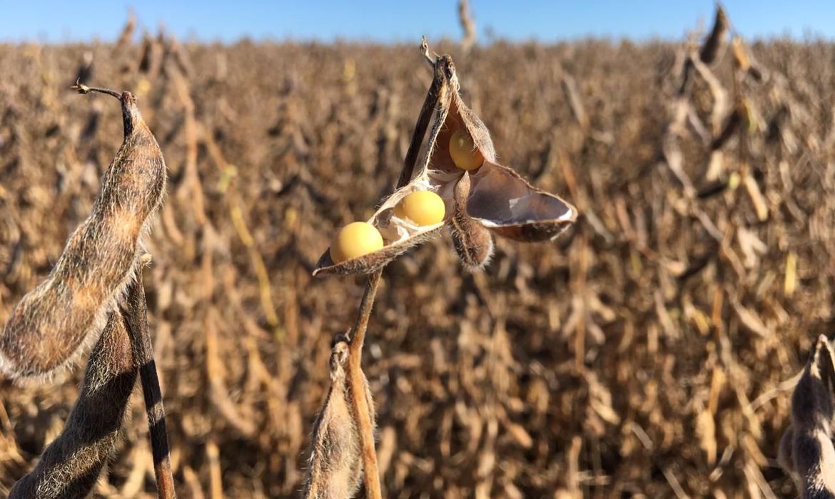 CMN flexibiliza crédito a agricultores de áreas com riscos climáticos