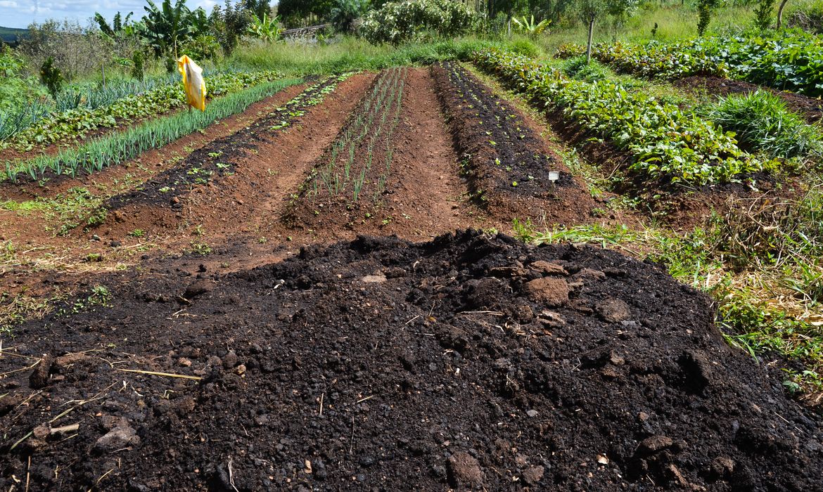 Custo oculto de sistemas agroalimentares é quase 10% do PIB global