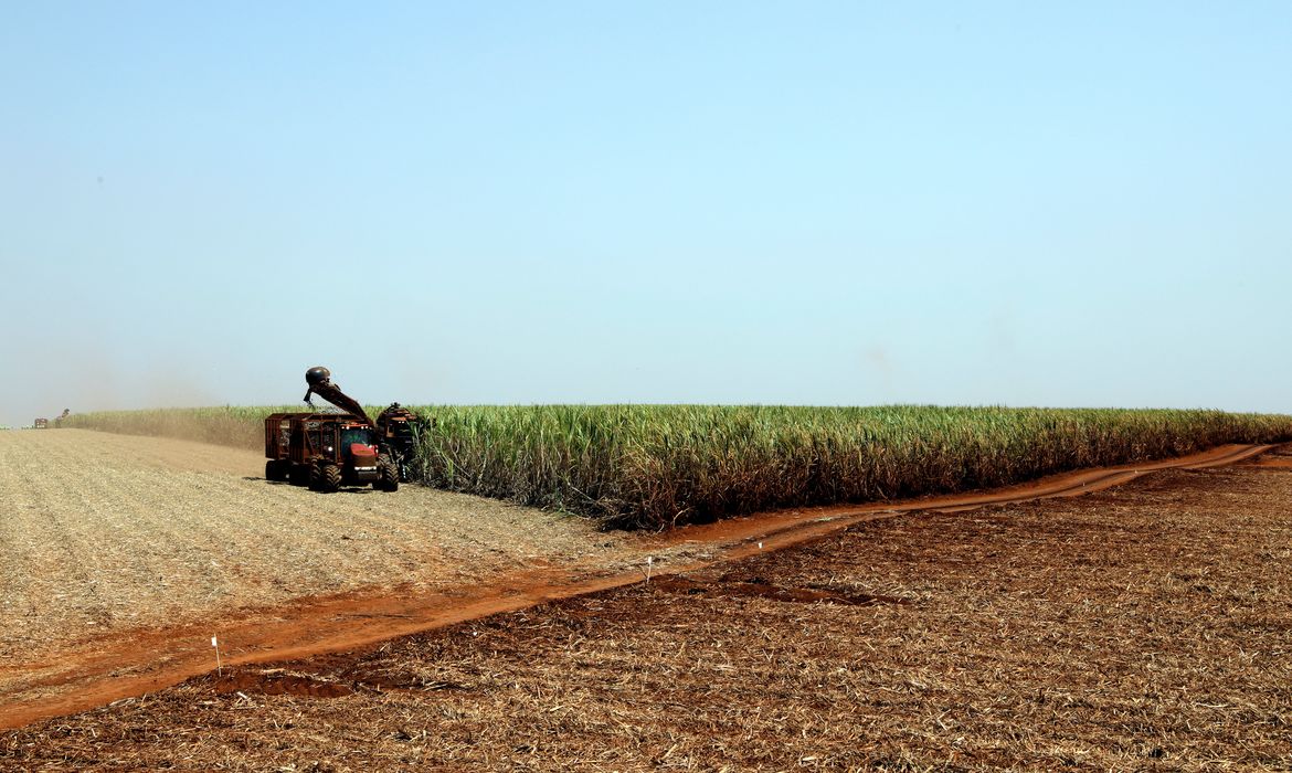 Projeção da safra de grãos 2023/24 cai para 306,4 milhões de toneladas