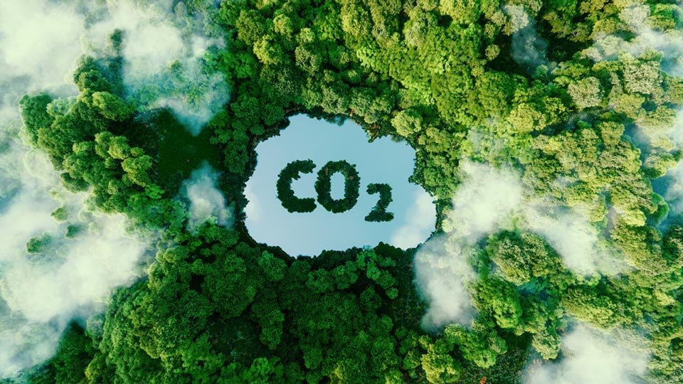 Entenda o que são e como funcionam os créditos de carbono