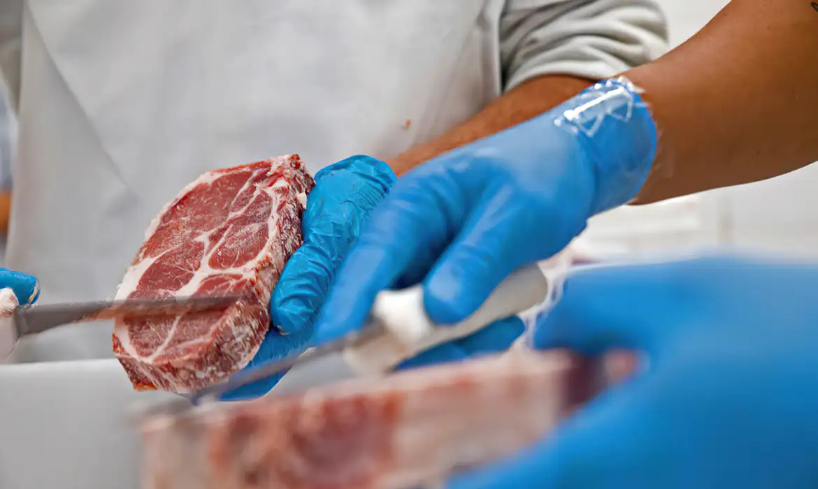 Conab: aumento na produção de carnes deve manter preços baixos