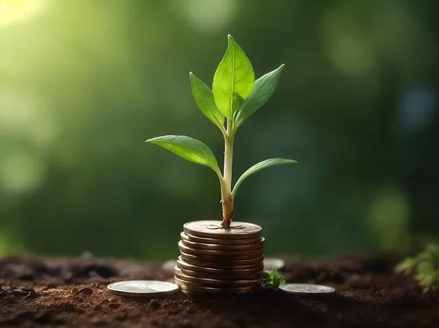 Saiba como avaliar um investimento de impacto social e ambiental