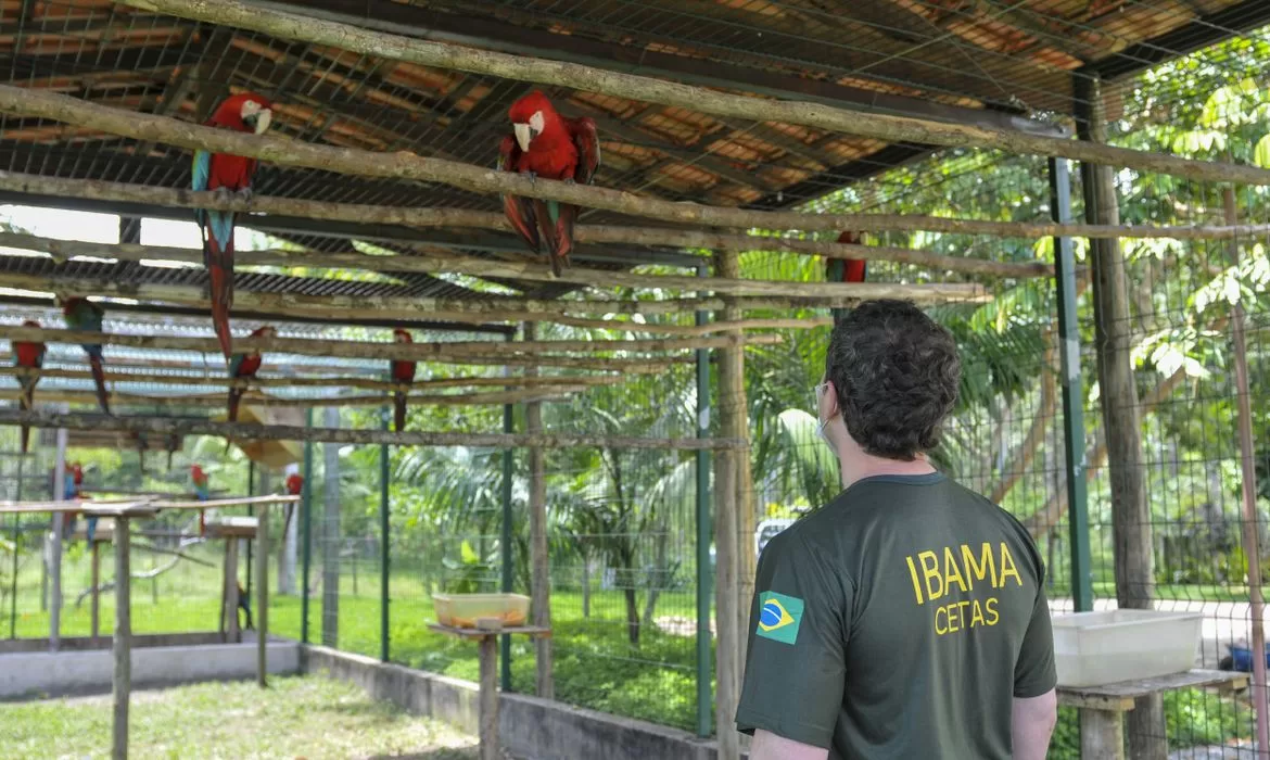 Servidores federais ambientais iniciam greve